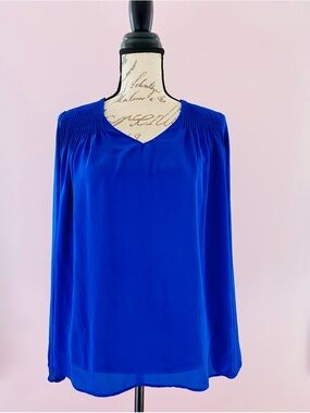 Banana Republic Cobalt Blue Long Sleeve V-Neck Blouse